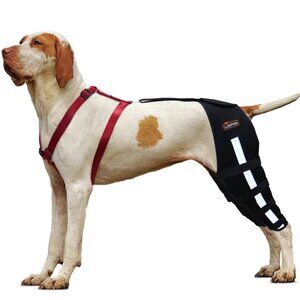 Lispoo Dog Knee Brace Double Leg For Luxating Patella, ACL tear etc. Medium